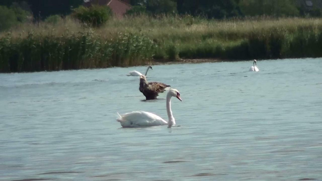 Zacisze Domki Letniskowe Karsibor Świnoujście Exterior foto